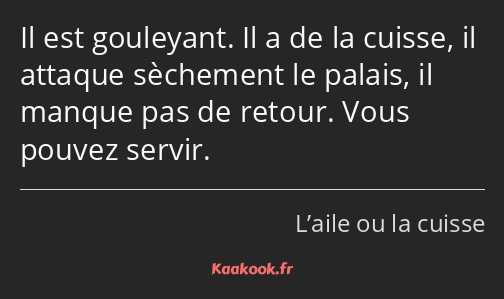 Il est gouleyant. Il a de la cuisse, il attaque sèchement le palais, il manque pas de retour. Vous…