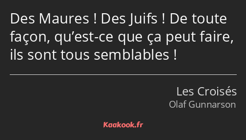 Des Maures ! Des Juifs ! De toute façon, qu’est-ce que ça peut faire, ils sont tous semblables !