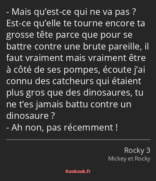 Mais qu’est-ce qui ne va pas ? Est-ce qu’elle te tourne encore ta grosse tête parce que pour se…