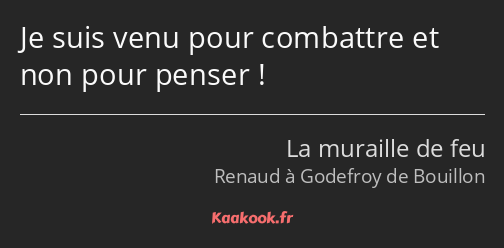 Je suis venu pour combattre et non pour penser !