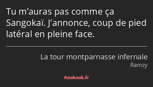 Tu m’auras pas comme ça Sangokaï. J’annonce, coup de pied latéral en pleine face.