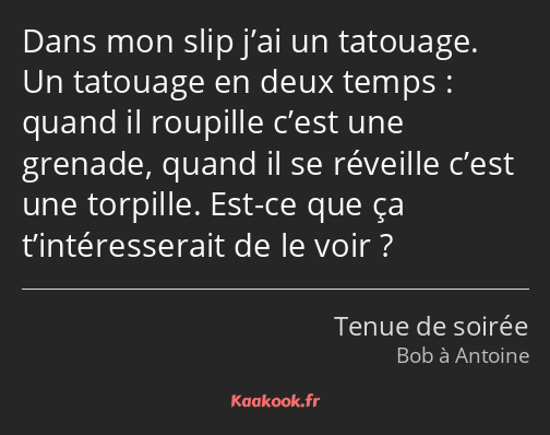 Dans mon slip j’ai un tatouage. Un tatouage en deux temps : quand il roupille c’est une grenade…