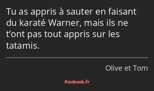 Tu as appris à sauter en faisant du karaté Warner, mais ils ne t’ont pas tout appris sur les…