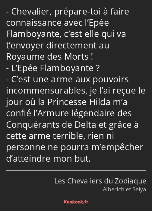 Chevalier, prépare-toi à faire connaissance avec l’Epée Flamboyante, c’est elle qui va t’envoyer…