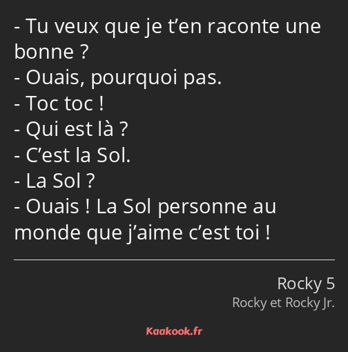 Tu veux que je t’en raconte une bonne ? Ouais, pourquoi pas. Toc toc ! Qui est là ? C’est la Sol…