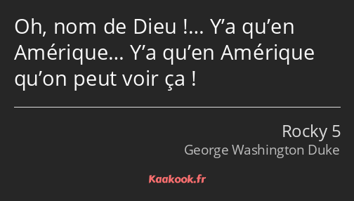 Oh, nom de Dieu !… Y’a qu’en Amérique… Y’a qu’en Amérique qu’on peut voir ça !