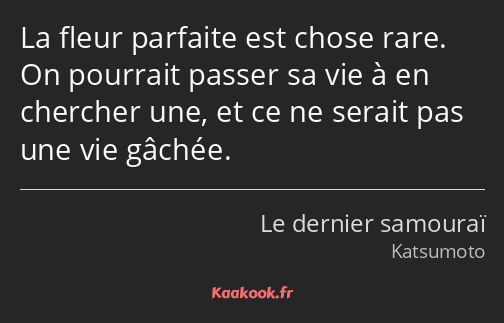 La fleur parfaite est chose rare. On pourrait passer sa vie à en chercher une, et ce ne serait pas…