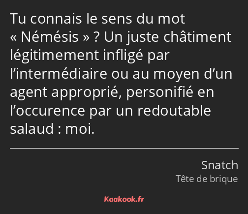 Tu connais le sens du mot Némésis ? Un juste châtiment légitimement infligé par l’intermédiaire ou…