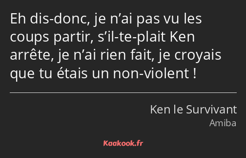 Eh dis-donc, je n’ai pas vu les coups partir, s’il-te-plait Ken arrête, je n’ai rien fait, je…