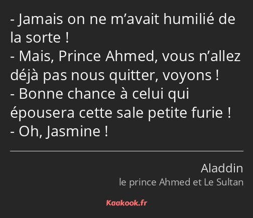 Jamais on ne m’avait humilié de la sorte ! Mais, Prince Ahmed, vous n’allez déjà pas nous quitter…