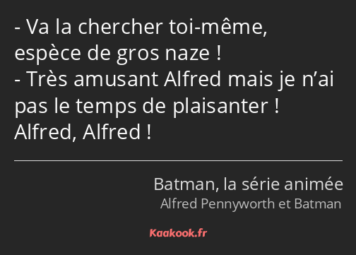 Va la chercher toi-même, espèce de gros naze ! Très amusant Alfred mais je n’ai pas le temps de…