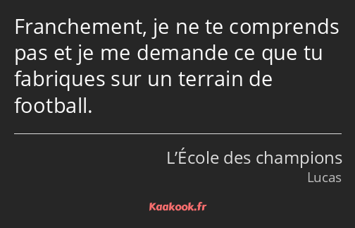 Franchement, je ne te comprends pas et je me demande ce que tu fabriques sur un terrain de football.