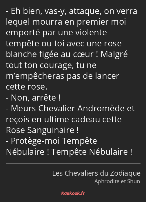 Eh bien, vas-y, attaque, on verra lequel mourra en premier moi emporté par une violente tempête ou…