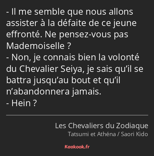 Il me semble que nous allons assister à la défaite de ce jeune effronté. Ne pensez-vous pas…