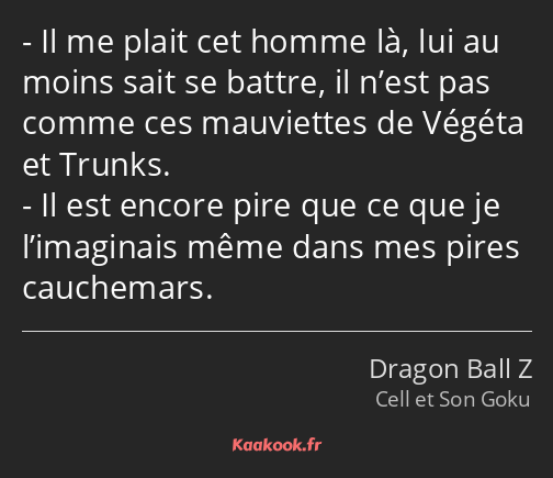 Il me plait cet homme là, lui au moins sait se battre, il n’est pas comme ces mauviettes de Végéta…