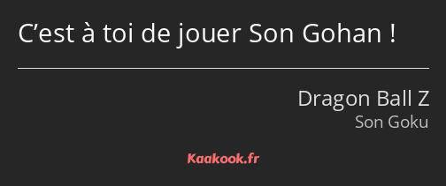 C’est à toi de jouer Son Gohan !