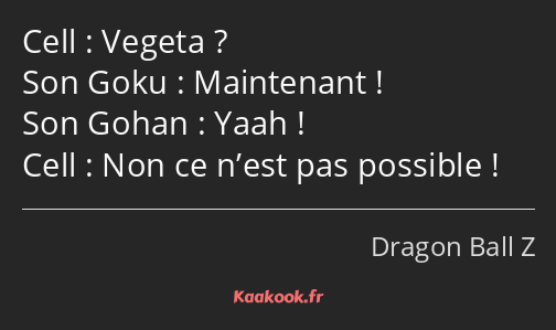 Vegeta ? Maintenant ! Yaah ! Non ce n’est pas possible !