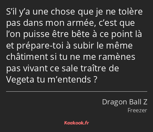 S’il y’a une chose que je ne tolère pas dans mon armée, c’est que l’on puisse être bête à ce point…