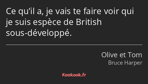 Ce qu’il a, je vais te faire voir qui je suis espèce de British sous-développé.