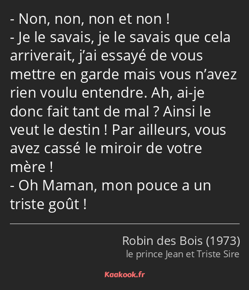 Non, non, non et non ! Je le savais, je le savais que cela arriverait, j’ai essayé de vous mettre…