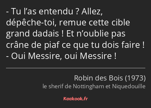 Tu l’as entendu ? Allez, dépêche-toi, remue cette cible grand dadais ! Et n’oublie pas crâne de…