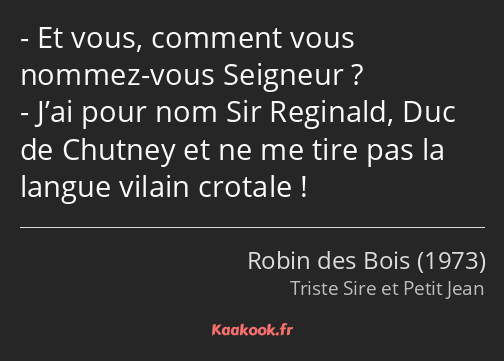 Et vous, comment vous nommez-vous Seigneur ? J’ai pour nom Sir Reginald, Duc de Chutney et ne me…