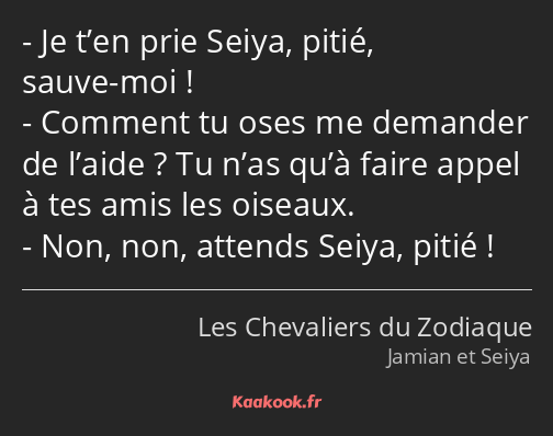 Je t’en prie Seiya, pitié, sauve-moi ! Comment tu oses me demander de l’aide ? Tu n’as qu’à faire…