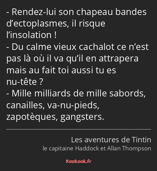 Rendez-lui son chapeau bandes d’ectoplasmes, il risque l’insolation ! Du calme vieux cachalot ce…