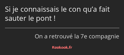 Si je connaissais le con qu’a fait sauter le pont !