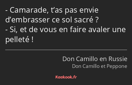 Camarade, t’as pas envie d’embrasser ce sol sacré ? Si, et de vous en faire avaler une pelleté !