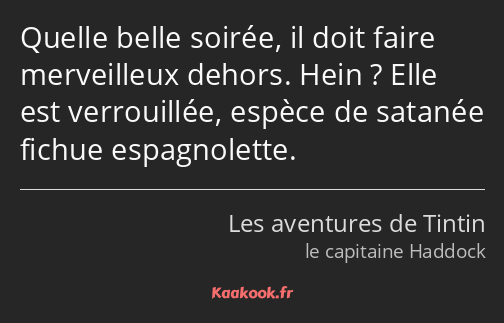 Quelle belle soirée, il doit faire merveilleux dehors. Hein ? Elle est verrouillée, espèce de…