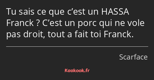 Tu sais ce que c’est un HASSA Franck ? C’est un porc qui ne vole pas droit, tout a fait toi Franck.