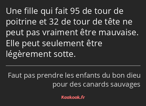 Une fille qui fait 95 de tour de poitrine et 32 de tour de tête ne peut pas vraiment être mauvaise…