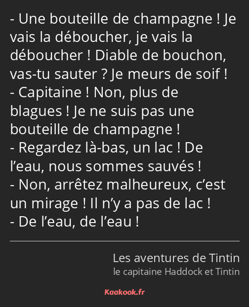 Une bouteille de champagne ! Je vais la déboucher, je vais la déboucher ! Diable de bouchon, vas-tu…