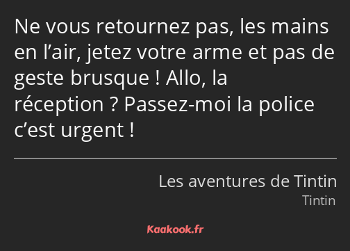 Ne vous retournez pas, les mains en l’air, jetez votre arme et pas de geste brusque ! Allo, la…