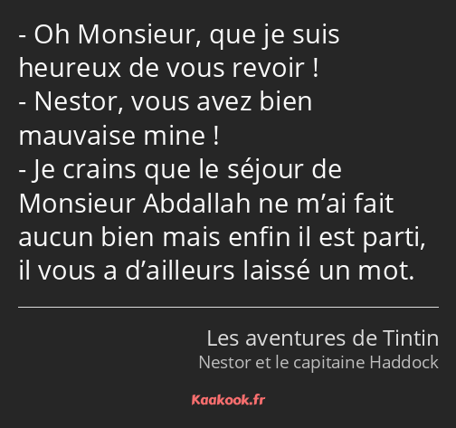 Oh Monsieur, que je suis heureux de vous revoir ! Nestor, vous avez bien mauvaise mine ! Je crains…