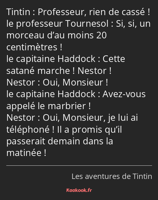 Professeur, rien de cassé ! Si, si, un morceau d’au moins 20 centimètres ! Cette satané marche…
