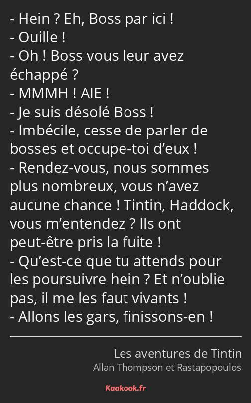 Hein ? Eh, Boss par ici ! Ouille ! Oh ! Boss vous leur avez échappé ? MMMH ! AIE ! Je suis désolé…