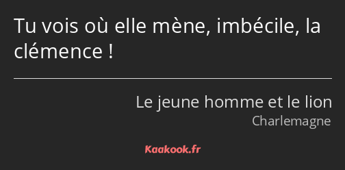 Tu vois où elle mène, imbécile, la clémence !