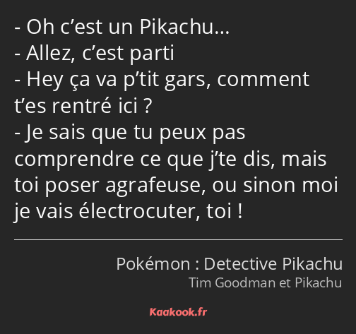 Oh c’est un Pikachu… Allez, c’est parti Hey ça va p’tit gars, comment t’es rentré ici ? Je sais que…