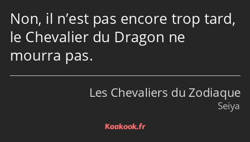Non, il n’est pas encore trop tard, le Chevalier du Dragon ne mourra pas.