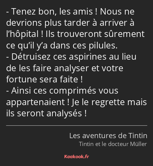 Tenez bon, les amis ! Nous ne devrions plus tarder à arriver à l’hôpital ! Ils trouveront sûrement…