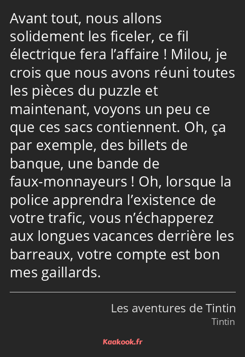 Avant tout, nous allons solidement les ficeler, ce fil électrique fera l’affaire ! Milou, je crois…