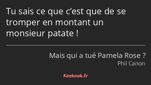 Tu sais ce que c’est que de se tromper en montant un monsieur patate !