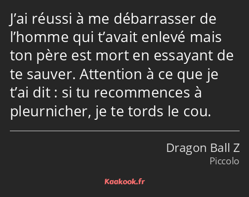 J’ai réussi à me débarrasser de l’homme qui t’avait enlevé mais ton père est mort en essayant de te…