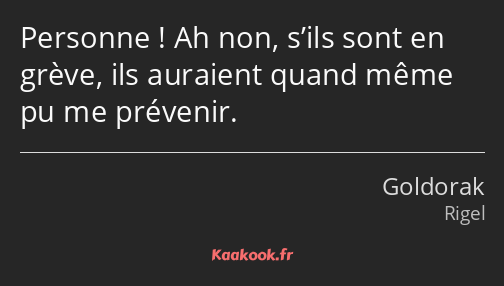 Personne ! Ah non, s’ils sont en grève, ils auraient quand même pu me prévenir.