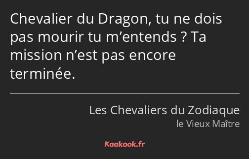 Chevalier du Dragon, tu ne dois pas mourir tu m’entends ? Ta mission n’est pas encore terminée.