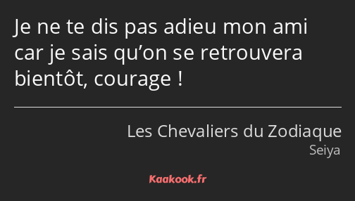 Je ne te dis pas adieu mon ami car je sais qu’on se retrouvera bientôt, courage !
