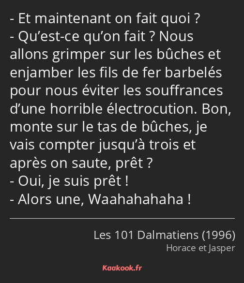 Et maintenant on fait quoi ? Qu’est-ce qu’on fait ? Nous allons grimper sur les bûches et enjamber…