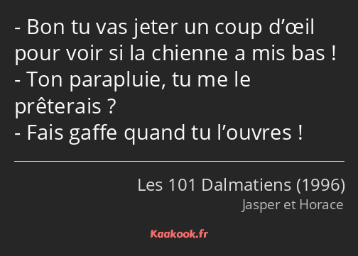 Bon tu vas jeter un coup d’œil pour voir si la chienne a mis bas ! Ton parapluie, tu me le…